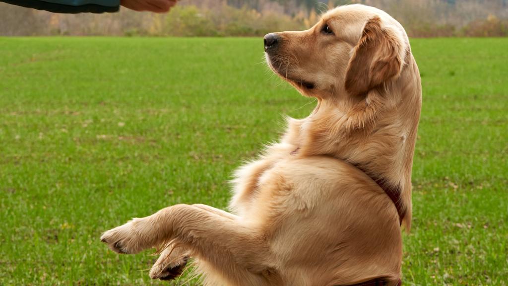 Long-Term Commitment & Special Considerations icon