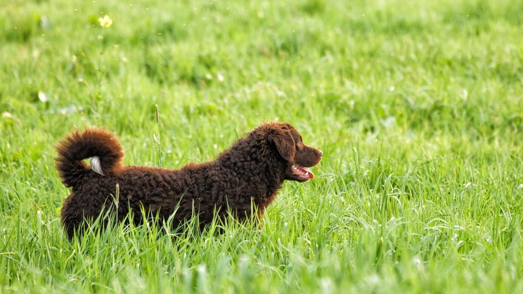 Living Environment Adaptability icon