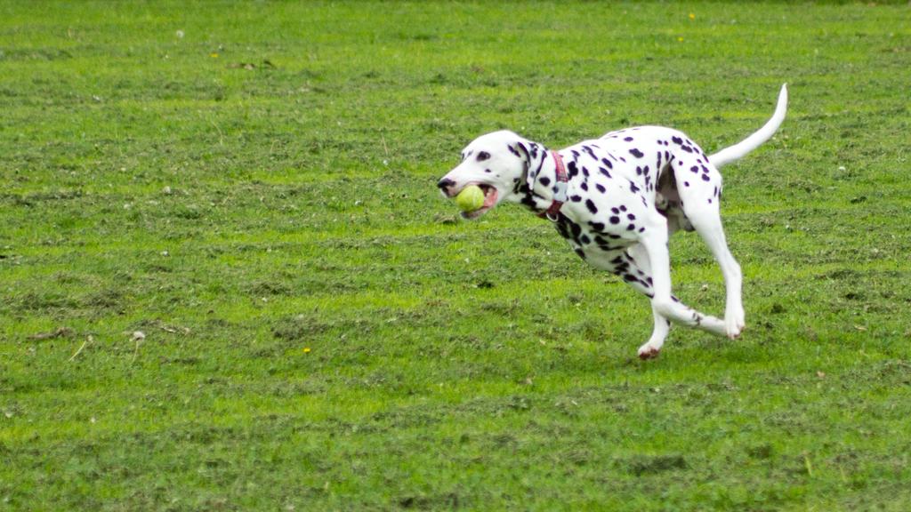 Life Stage Considerations icon