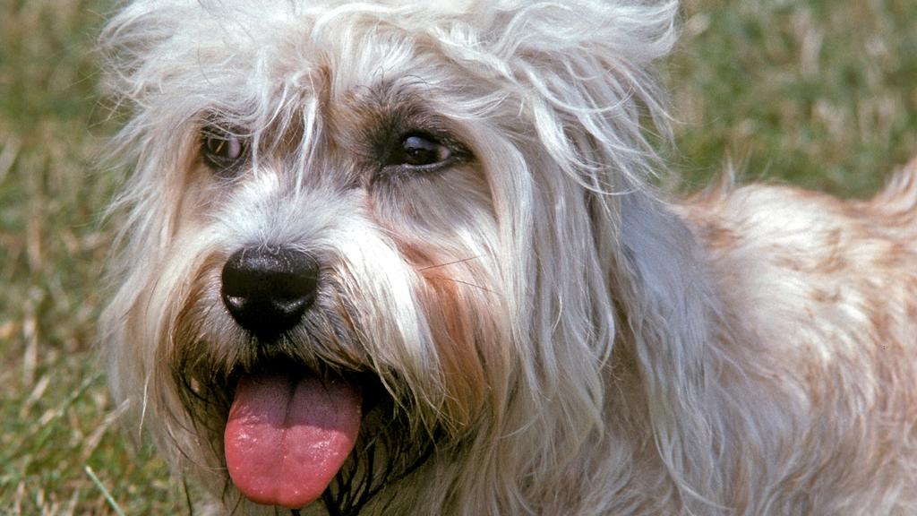 Living Environment Adaptability icon