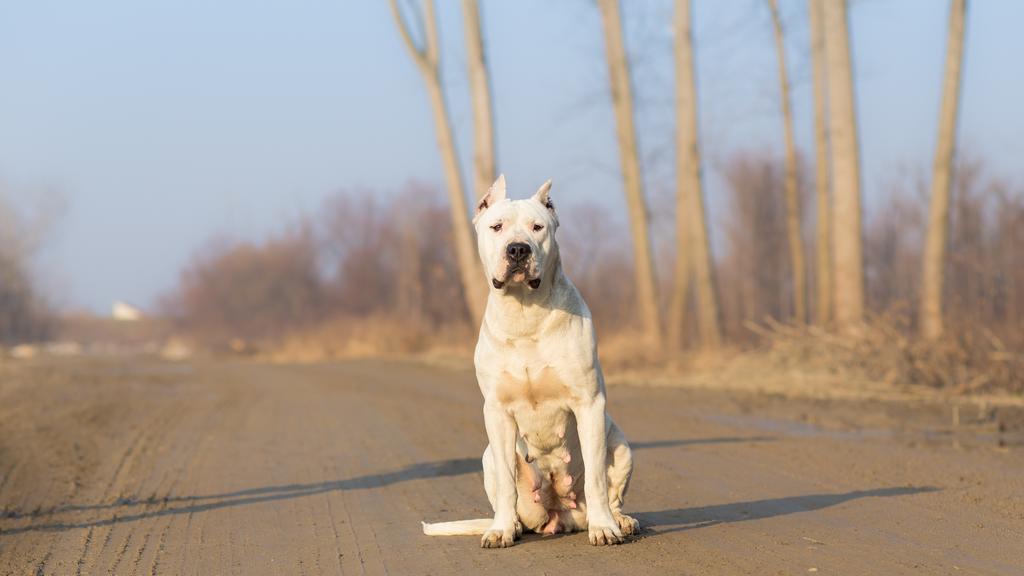 Living Environment Adaptability icon