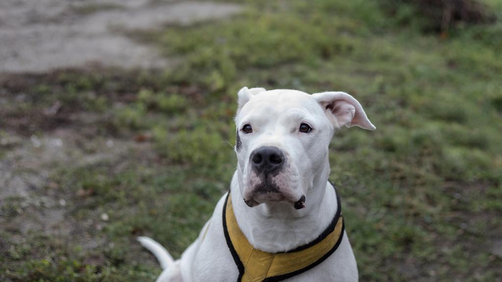 Long-Term Commitment & Special Considerations icon