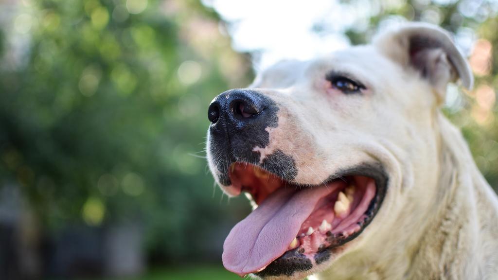 Financial Considerations icon