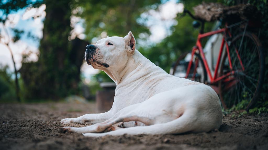 Life Stage Considerations icon