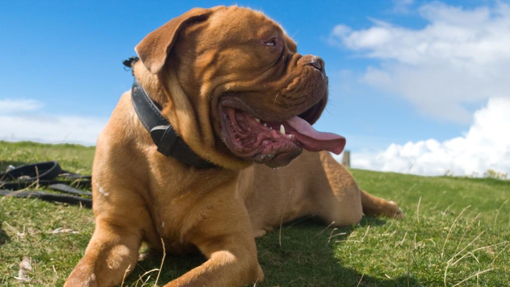 Long-Term Commitment & Special Considerations icon