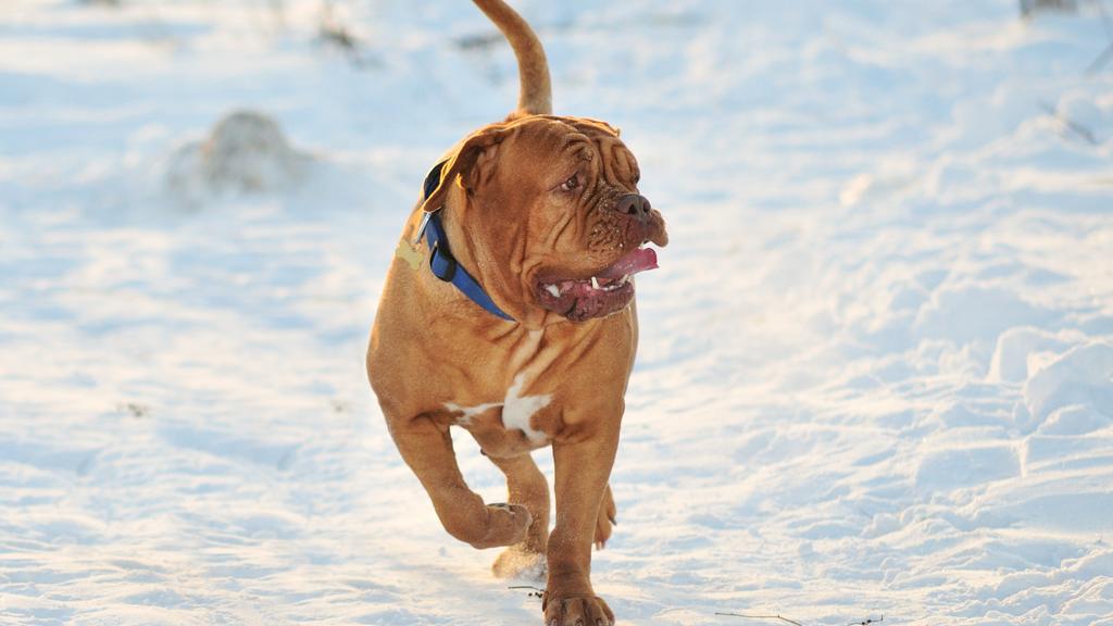 Living Environment Adaptability icon