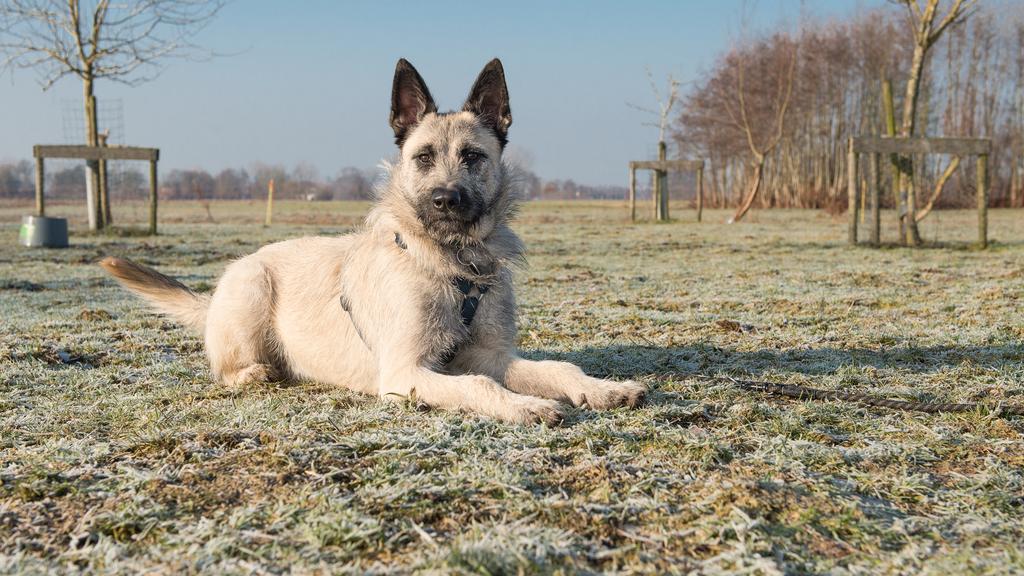 Living Environment Adaptability icon