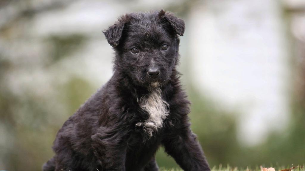 Exercise & Activity Needs icon