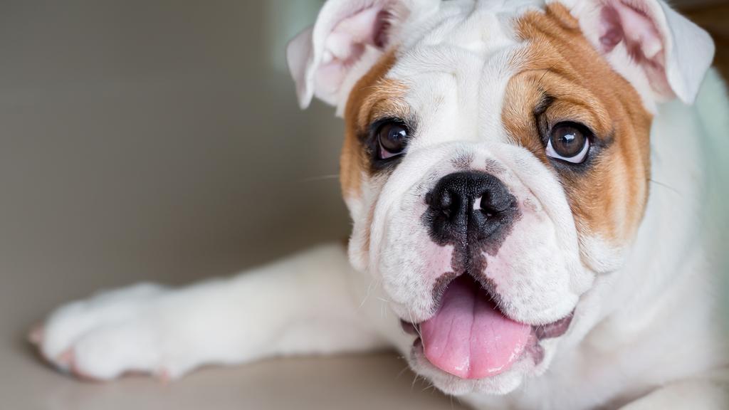 Long-Term Commitment & Special Considerations icon