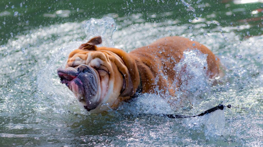 Living Environment Adaptability icon