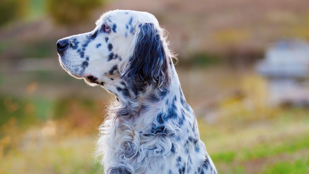 Long-Term Commitment & Special Considerations icon