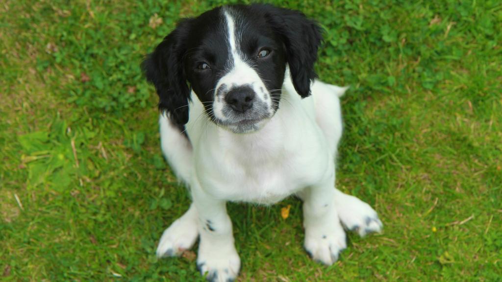 Basic Information icon