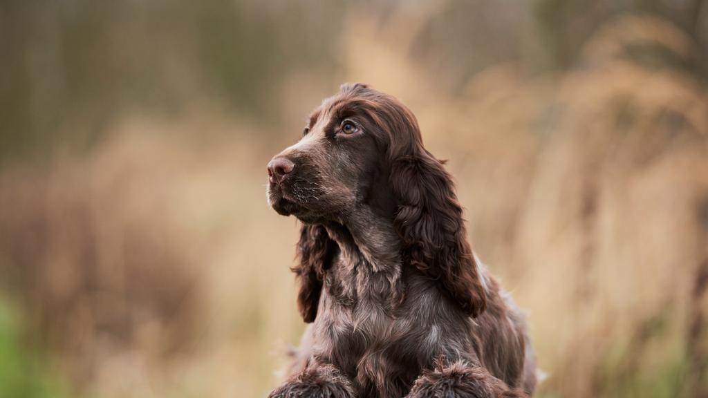 Living Environment Adaptability icon