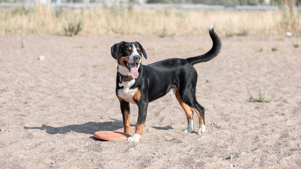 Life Stage Considerations icon