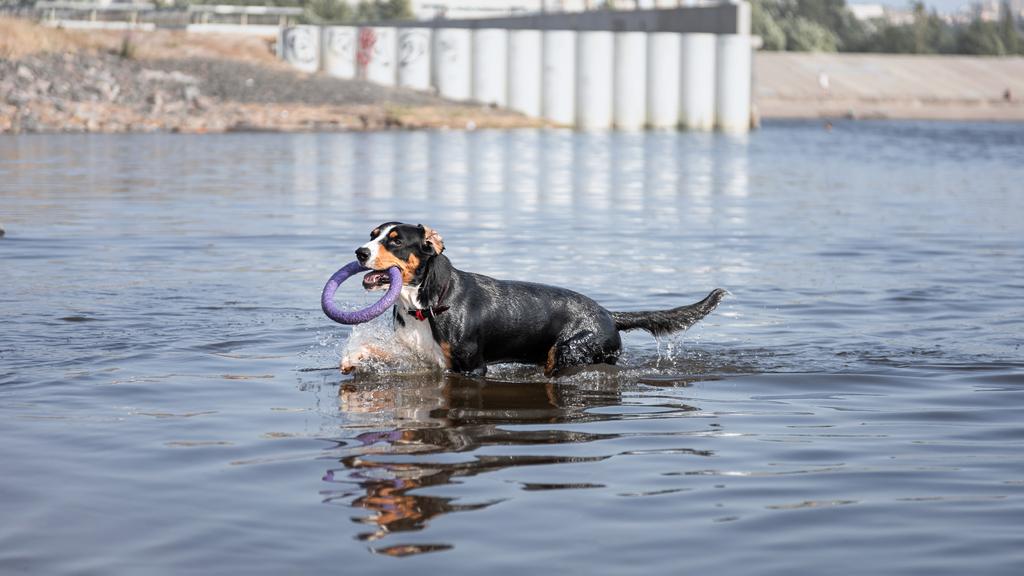 Long-Term Commitment & Special Considerations icon