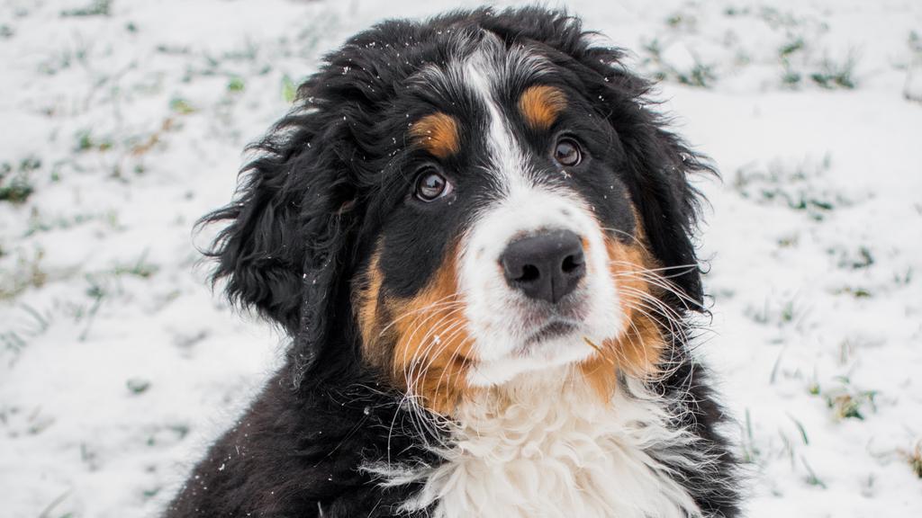 Living Environment Adaptability icon