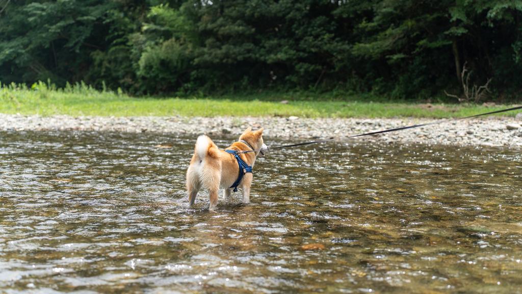 Living Environment Adaptability icon