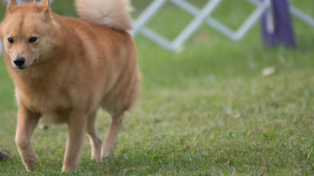 Life Stage Considerations icon