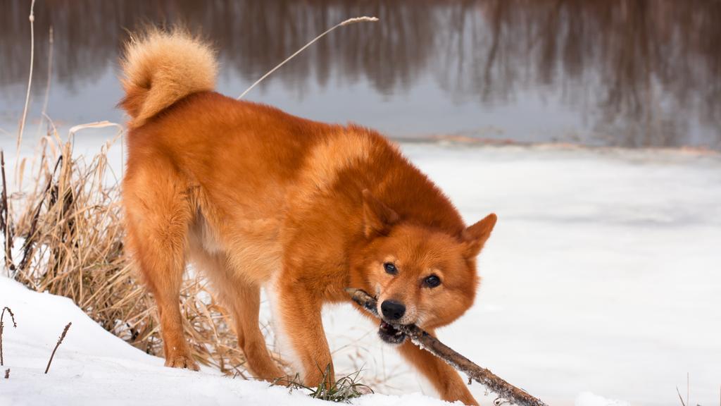 Long-Term Commitment & Special Considerations icon