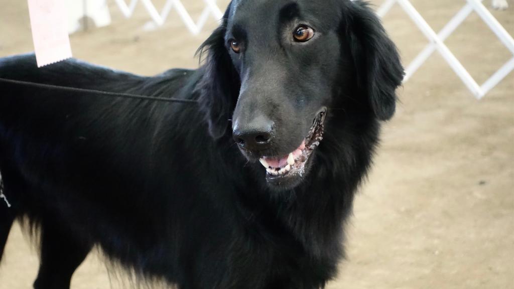 Financial Considerations icon