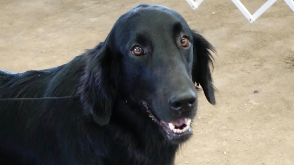 Life Stage Considerations icon