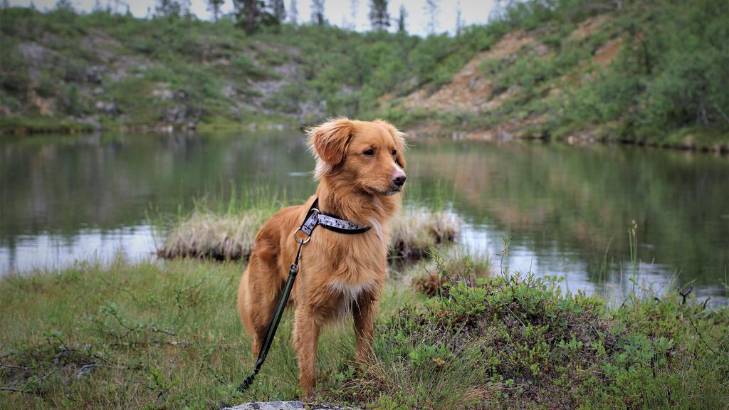 Long-Term Commitment & Special Considerations icon