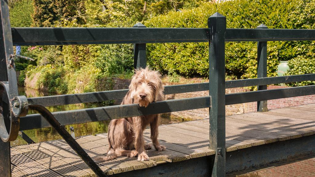 Exercise & Activity Needs icon