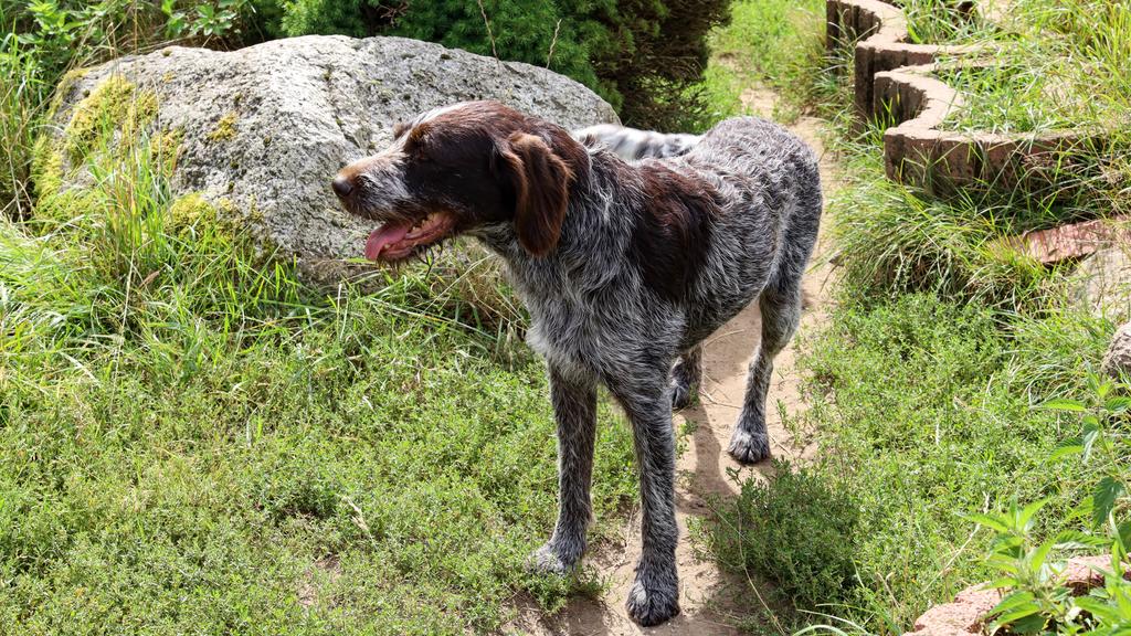 Financial Considerations icon