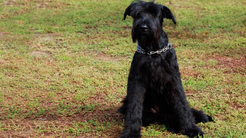 Long-Term Commitment & Special Considerations icon