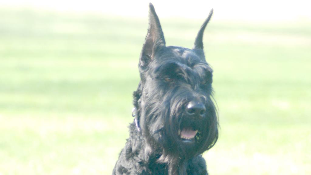 Exercise & Activity Needs icon