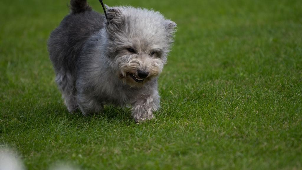 Financial Considerations icon