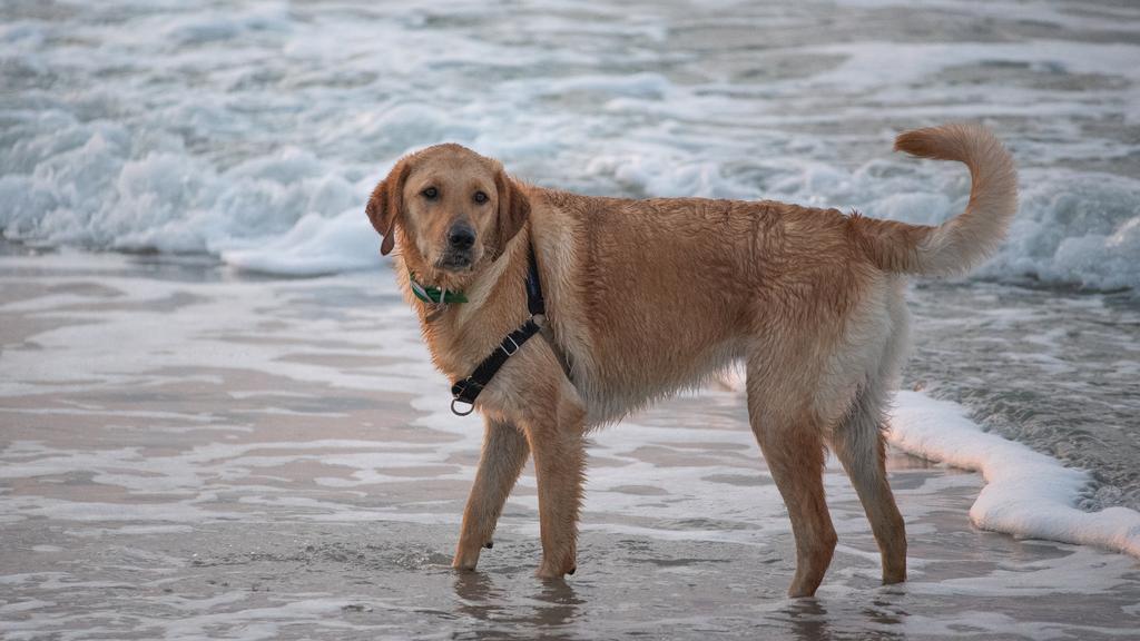 Exercise & Activity Needs icon