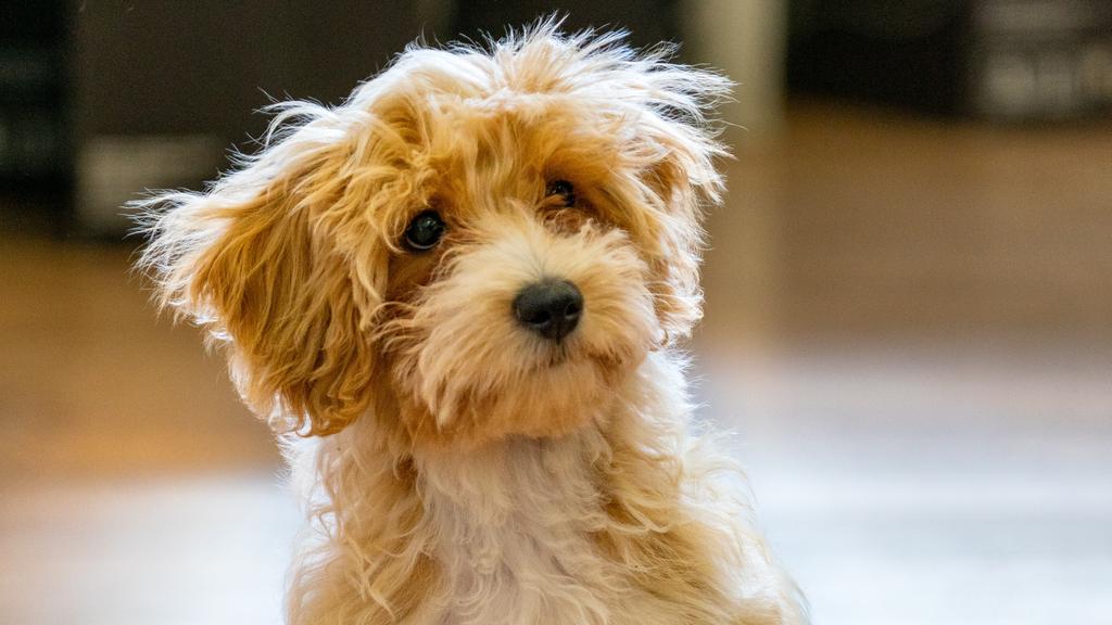 Long-Term Commitment & Special Considerations icon