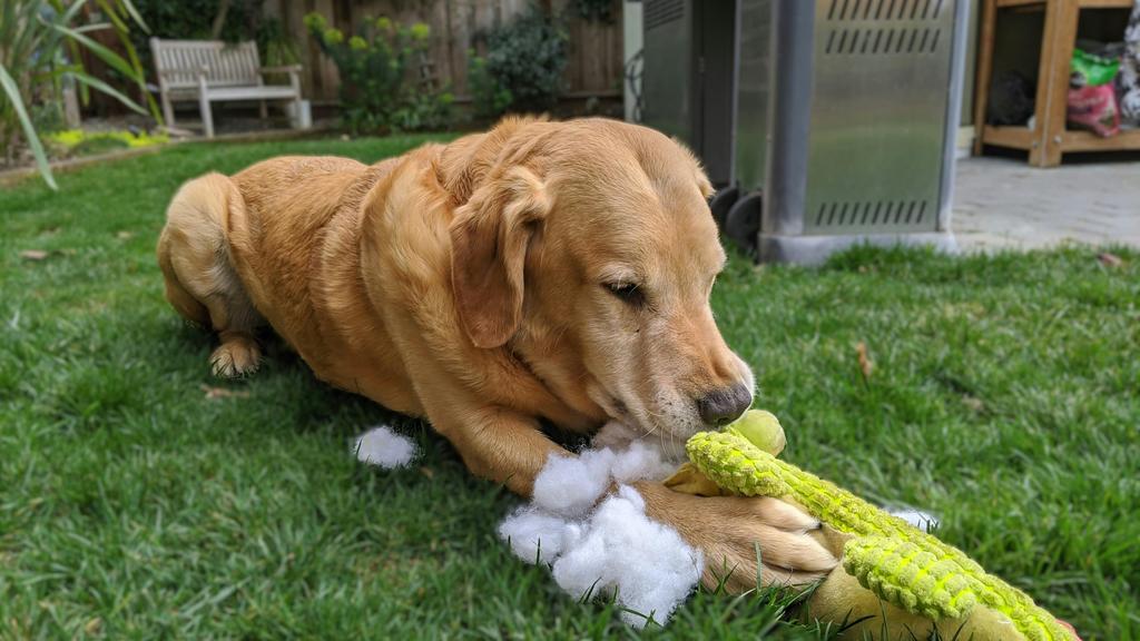 Financial Considerations icon