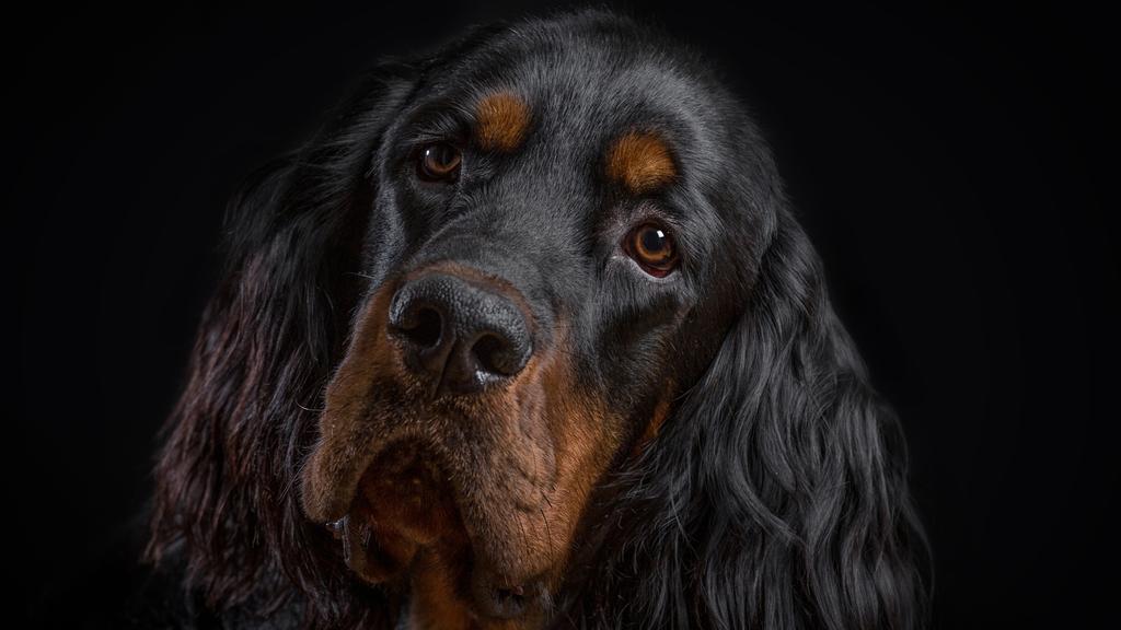 Long-Term Commitment & Special Considerations icon