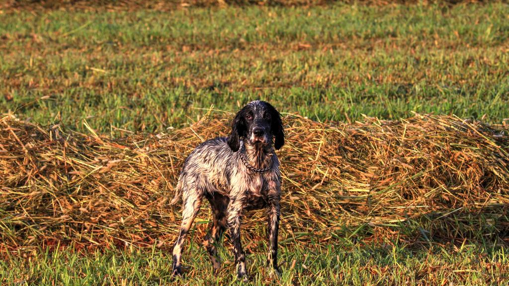 Basic Information icon