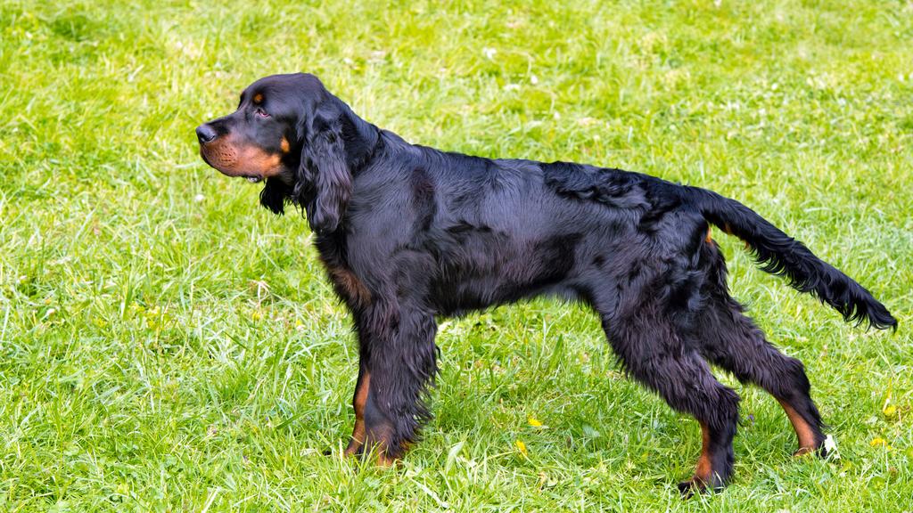 Financial Considerations icon