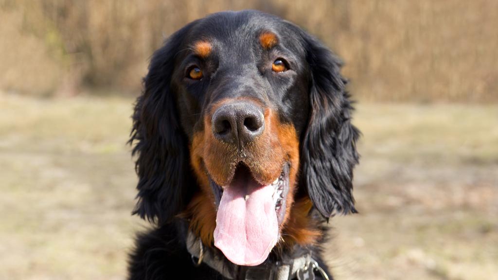 Life Stage Considerations icon