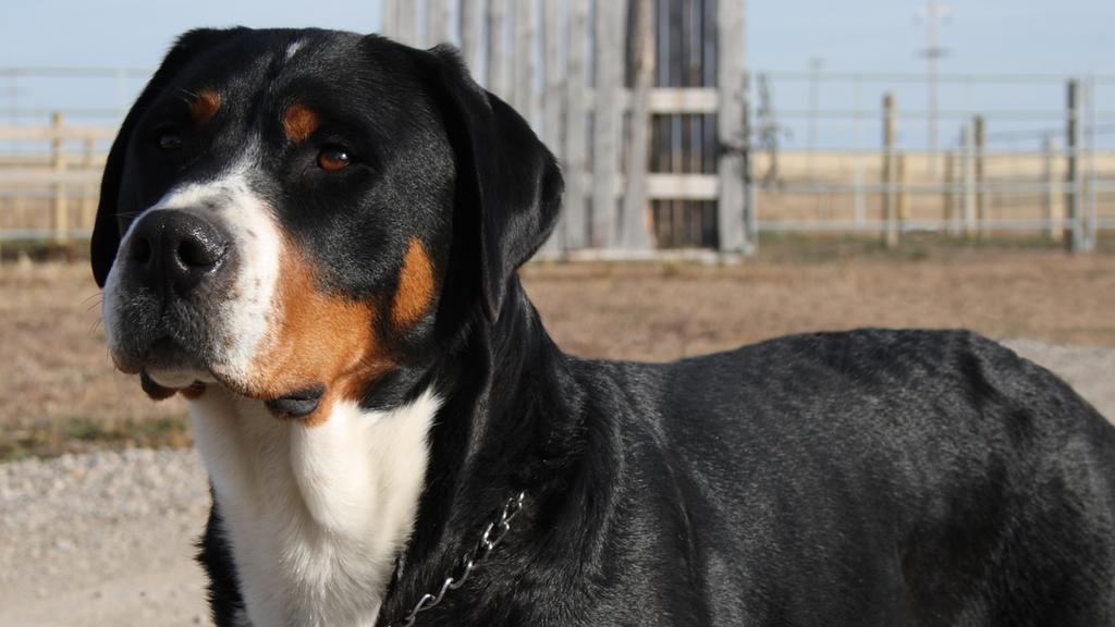 Long-Term Commitment & Special Considerations icon