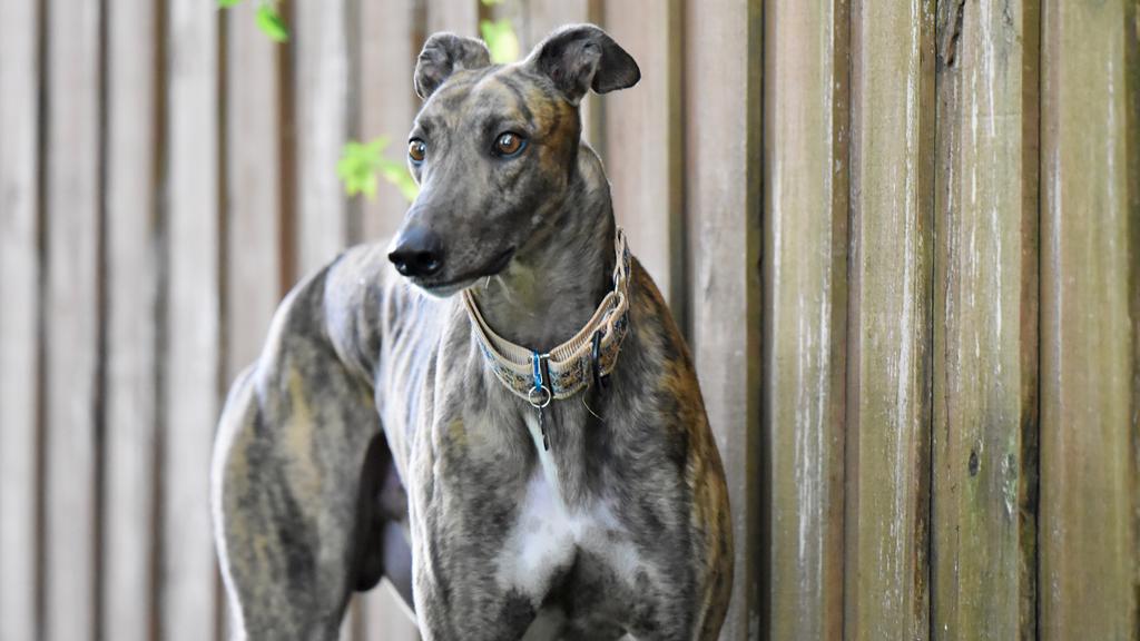 Long-Term Commitment & Special Considerations icon