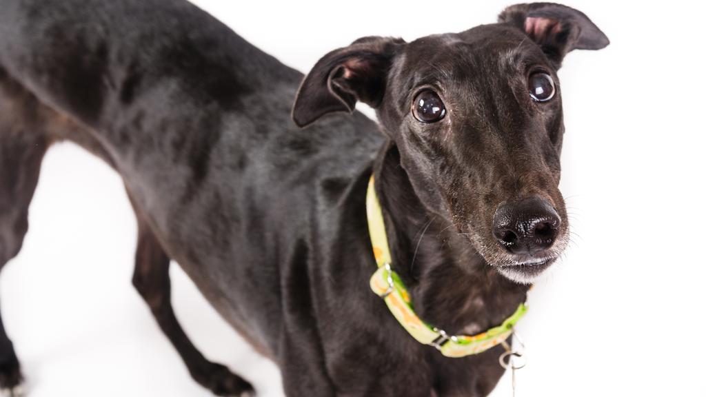 Financial Considerations icon