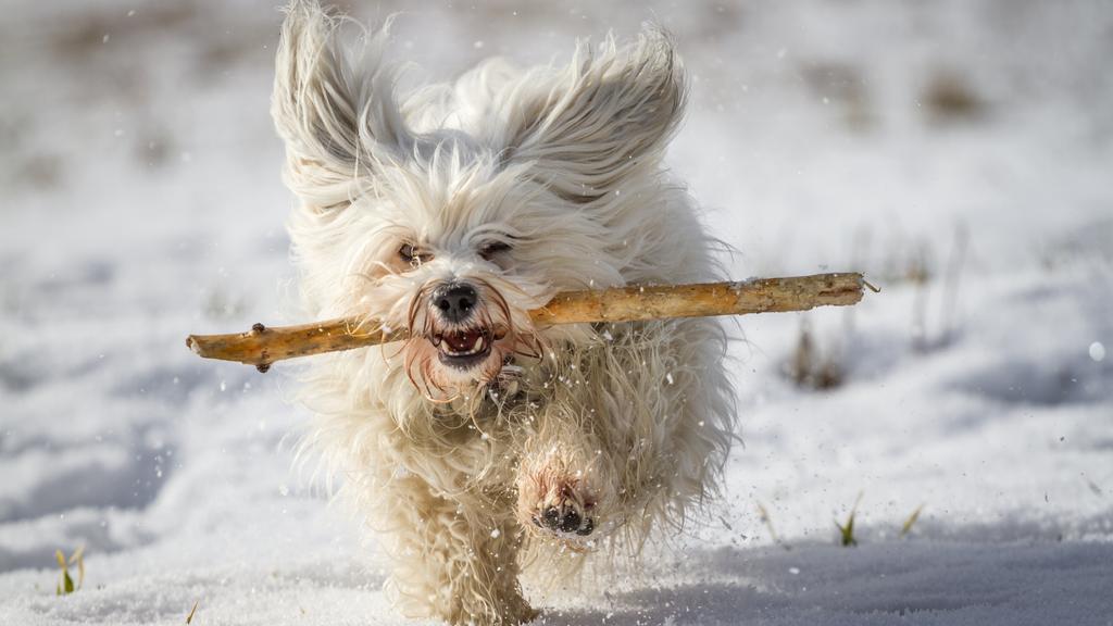 Financial Considerations icon