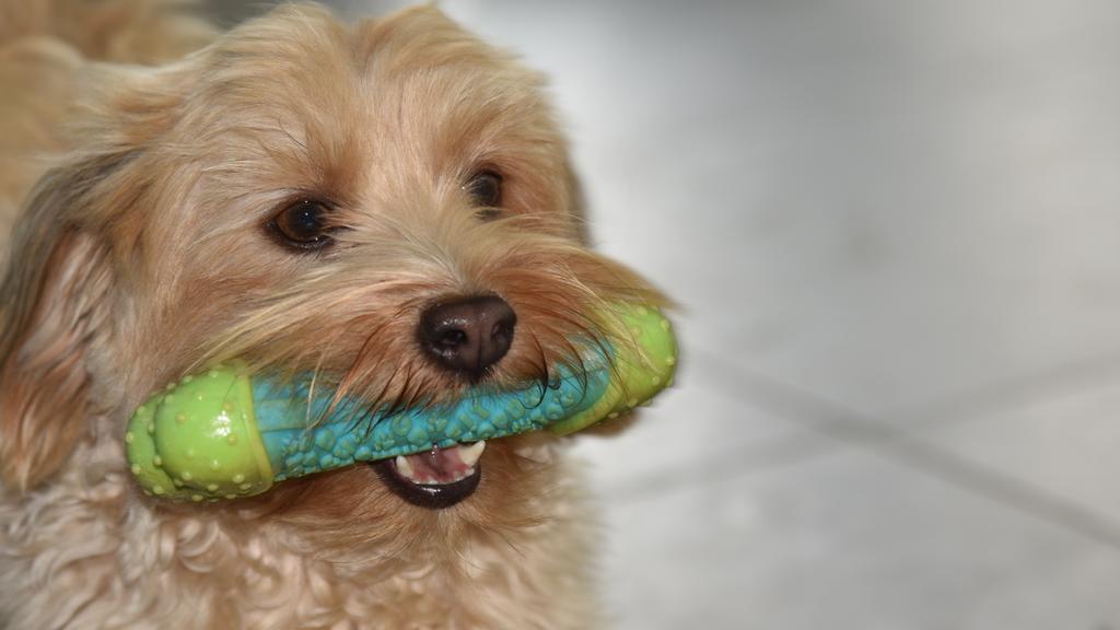 Long-Term Commitment & Special Considerations icon