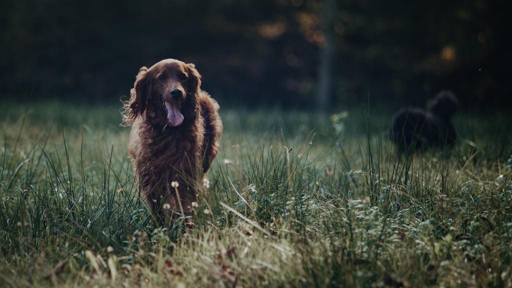 Long-Term Commitment & Special Considerations icon