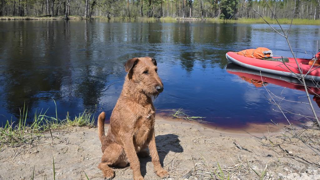 Living Environment Adaptability icon