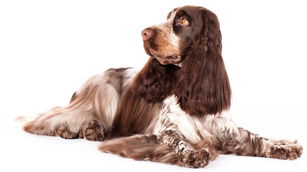 Long-Term Commitment & Special Considerations icon