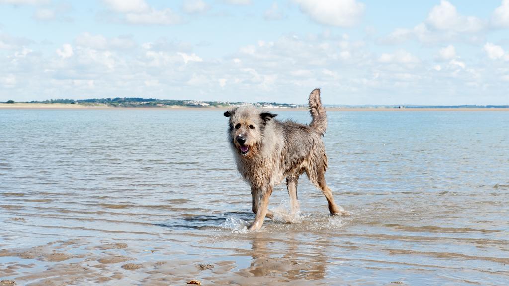 Long-Term Commitment & Special Considerations icon