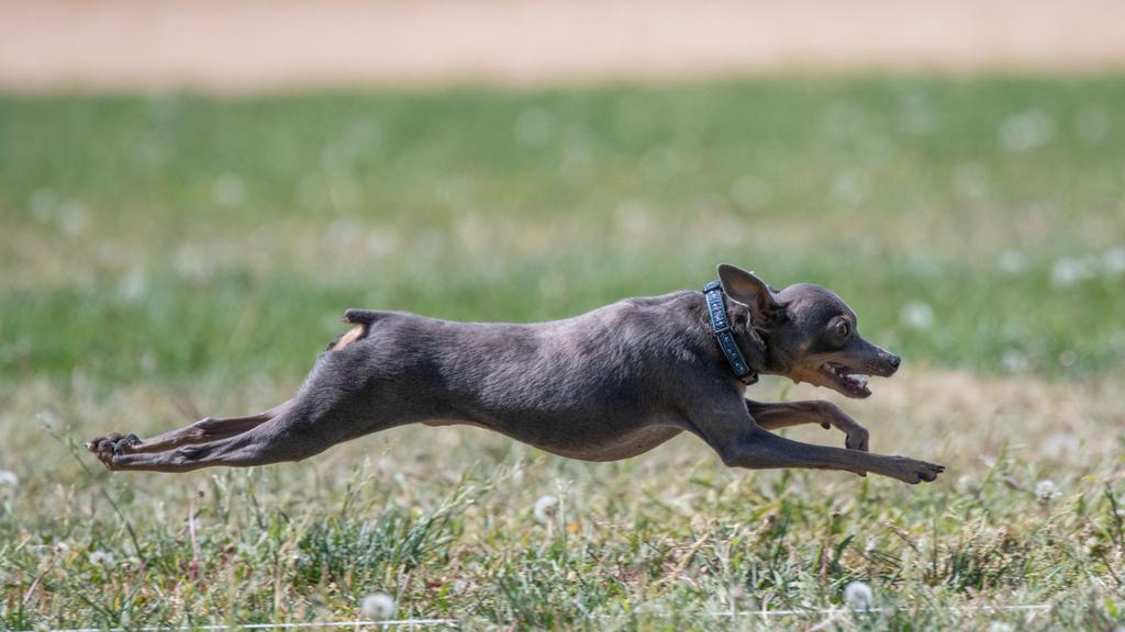 Long-Term Commitment & Special Considerations icon