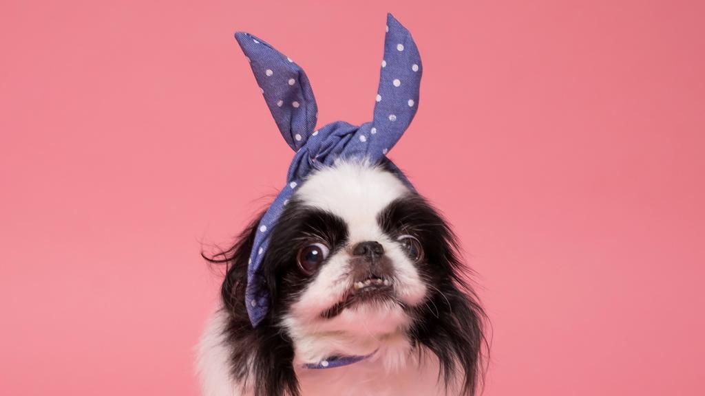 Long-Term Commitment & Special Considerations icon