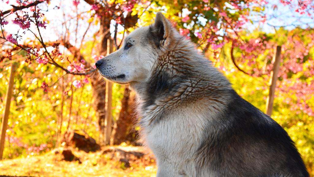 Life Stage Considerations icon